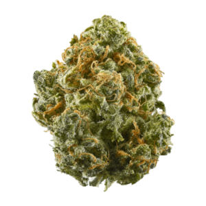 Buy Blue Dream Strain Online