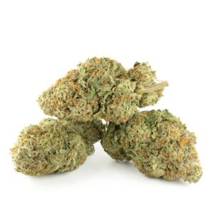 Order Jack Herer Online